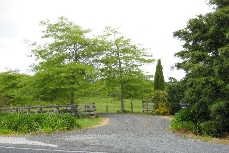 Photo of property in 5310 Kaipara Coast Highway, Wellsford, 0972