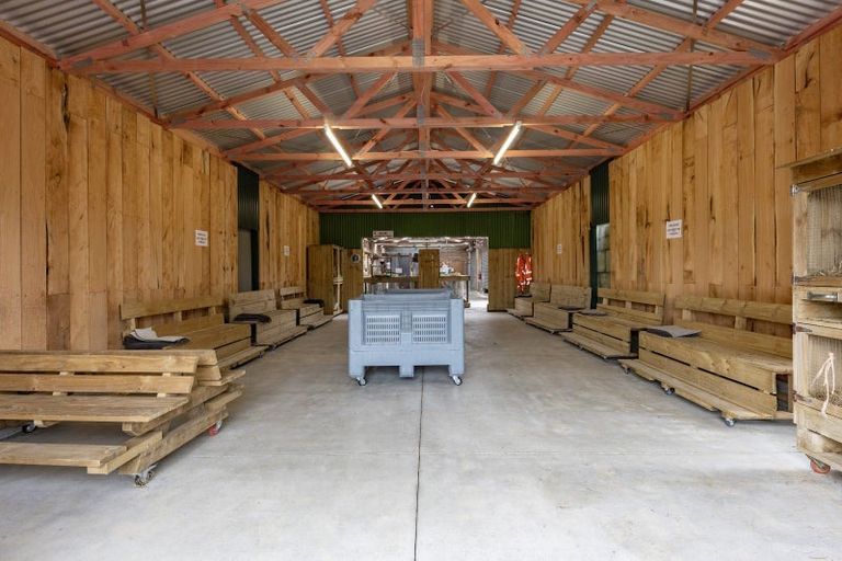 Photo of property in 308 Henderson Valley Road, Henderson Valley, Auckland, 0612