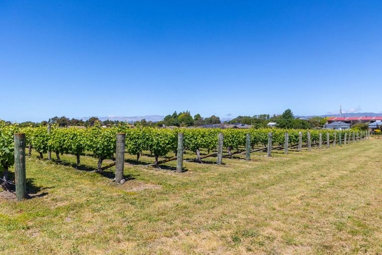 Photo of property in 5 Brook Street, Renwick, 7204