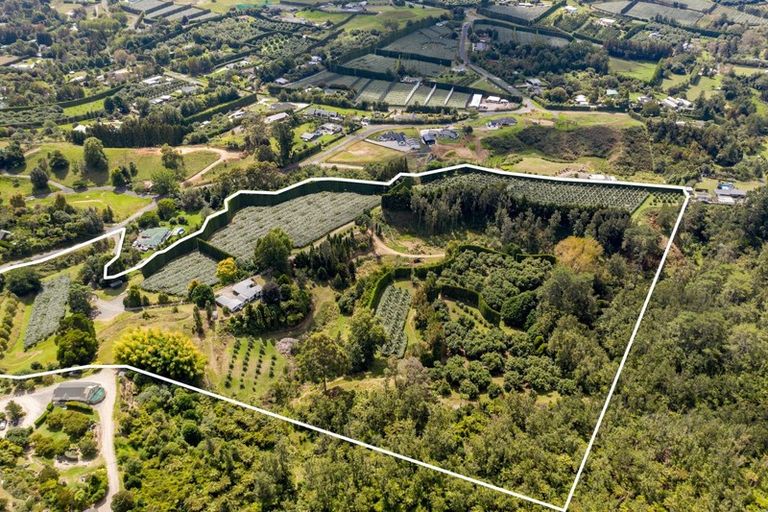 Photo of property in 93 Te Puna Quarry Road, Minden, Tauranga, 3179