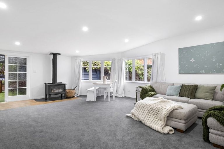 Photo of property in 8 Massey Avenue, Saint Clair, Dunedin, 9012