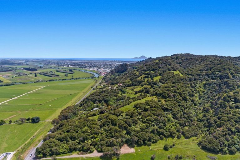Photo of property in 107 Taneatua Road, Whakatane, 3191