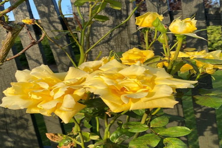 Photo of property in 61 Glassworks Road, Netherby, Ashburton, 7772