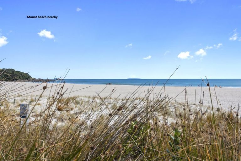 Photo of property in 64a Gloucester Road, Mount Maunganui, 3116