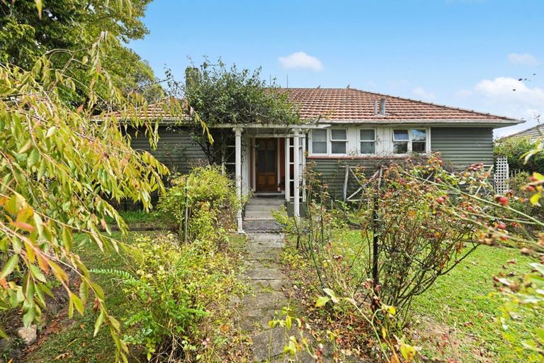 Photo of property in 61 Holland Road, Fairfield, Hamilton, 3214