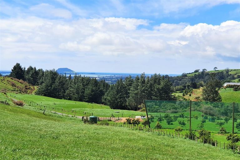 Photo of property in 349a Whakamarama Road, Whakamarama, Tauranga, 3179