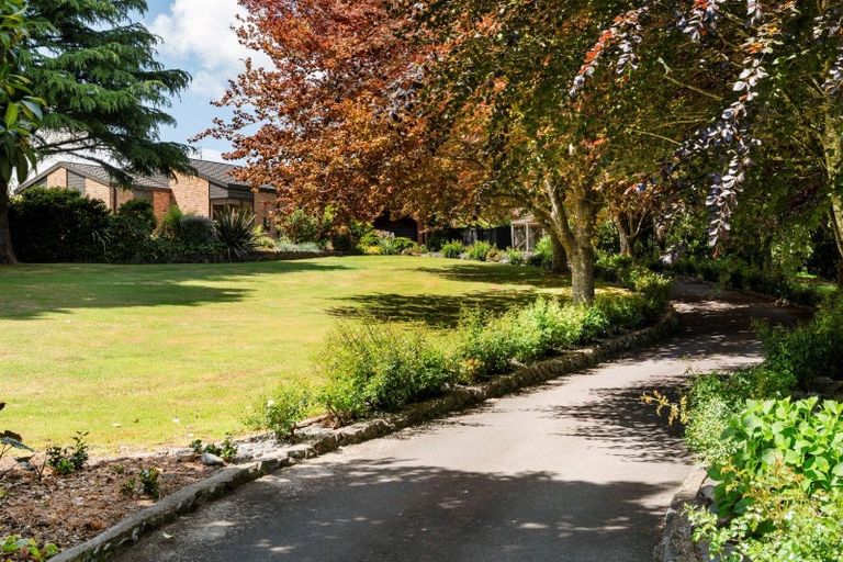 Photo of property in 54 Westridge Drive, Tauriko, Tauranga, 3110