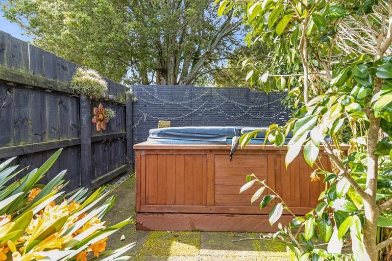 Photo of property in 16 George Street, Morrinsville, 3300