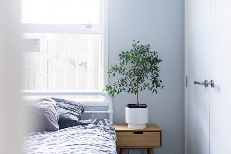 Photo of property in 515 Webb Drive, Chartwell, Hamilton, 3210