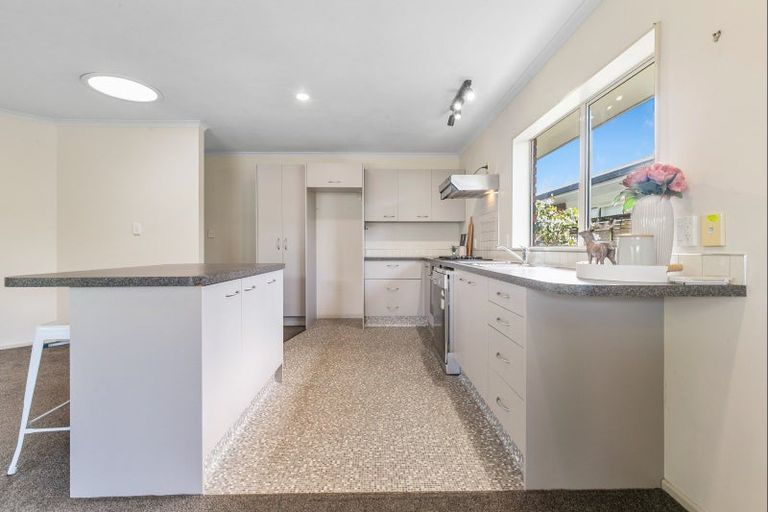 Photo of property in 38 Duke Street, Levin, 5510