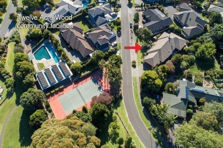 Photo of property in 29 Jarrah Park Drive, Pyes Pa, Tauranga, 3112