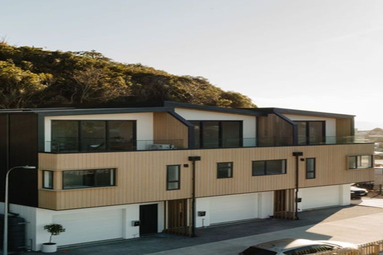 Photo of property in 105 Tiketike Way, Brooklyn, Wellington, 6021