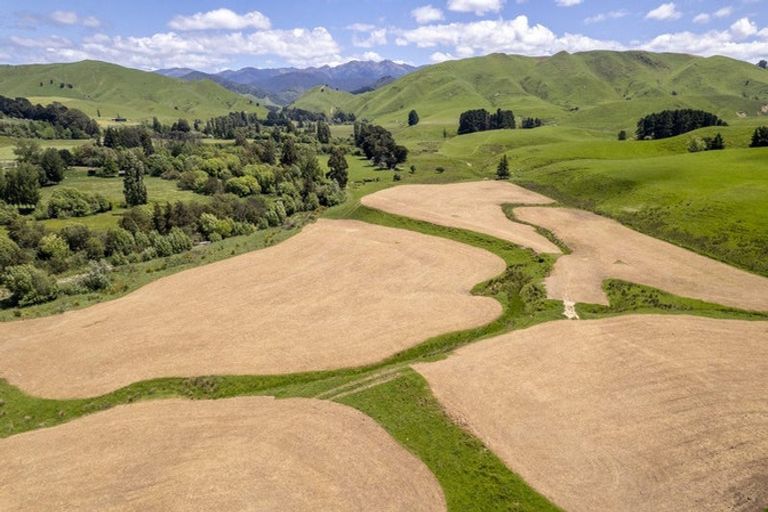 Photo of property in 268 Mikimiki Road, Mikimiki, Masterton, 5881