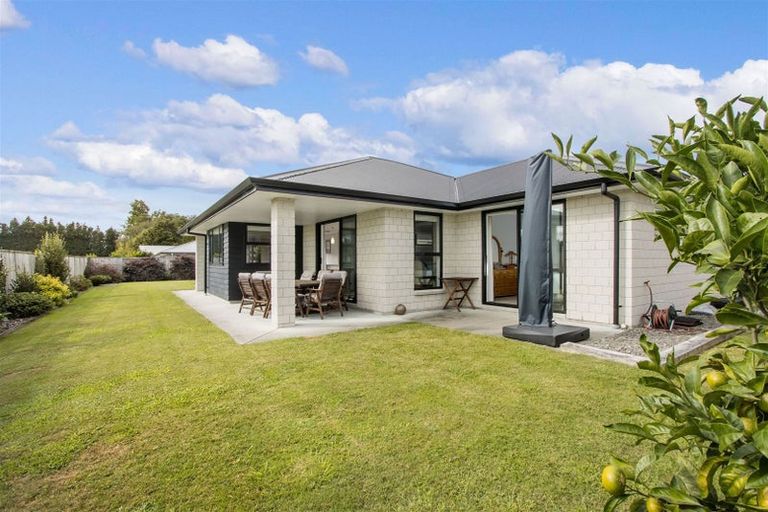 Photo of property in 19 Nolan Place, Katikati, 3129
