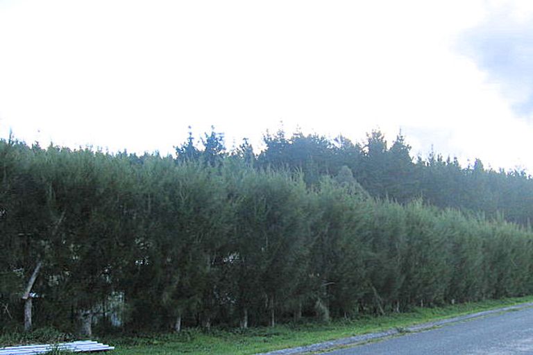 Photo of property in 6 Allan Drive, Whangamata, 3691