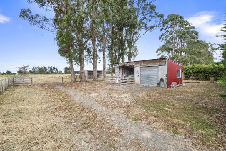 Photo of property in 112 Calico Line, Marton, 4787