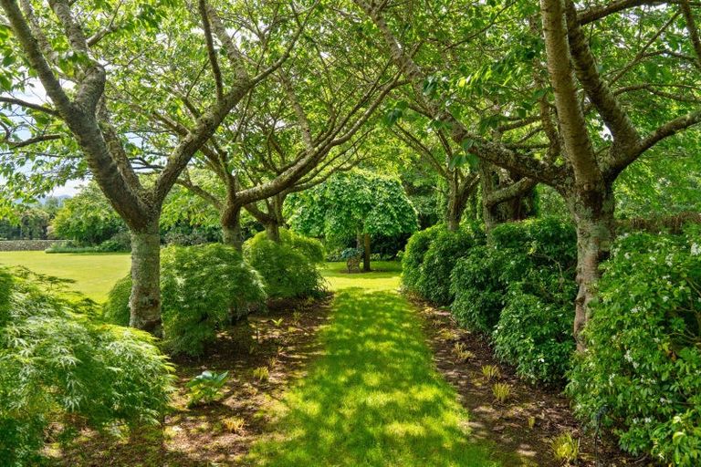 Photo of property in 404 Upper Plain Road, Upper Plain, Masterton, 5888