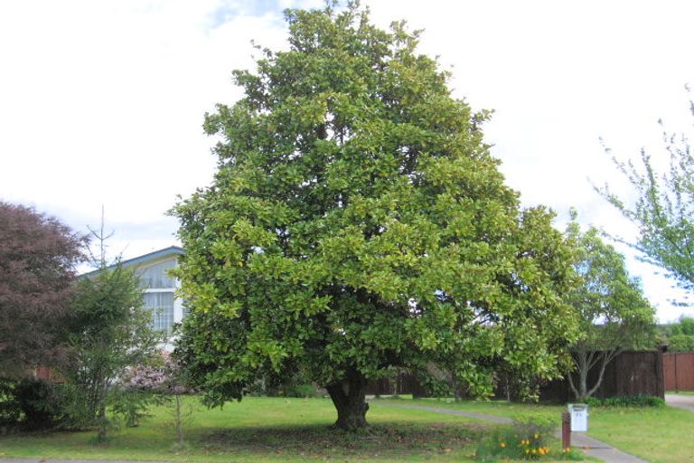 Photo of property in 89 Tamatea Road, Taupo, 3330