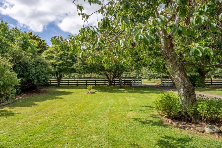 Photo of property in 266 North Manakau Road, Manakau, Levin, 5573