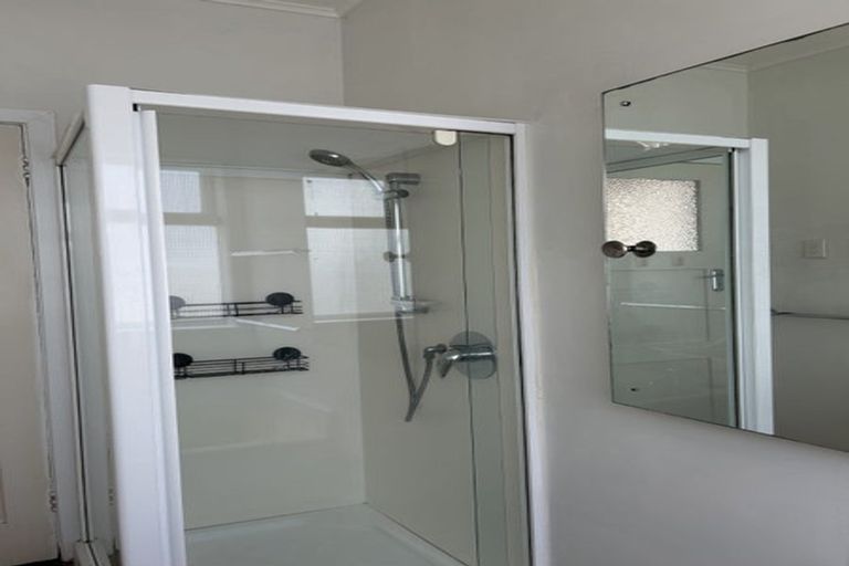 Photo of property in 5 Westland Road, Mount Cook, Wellington, 6021