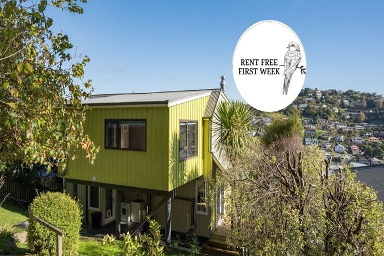 Photo of property in 26 Konini Street, Nelson South, Nelson, 7010