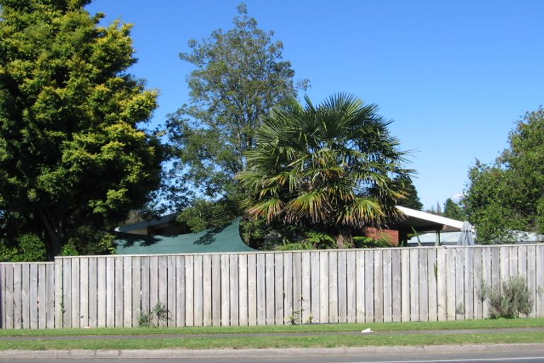 Photo of property in 114 Arapuni Street, Putaruru, 3411