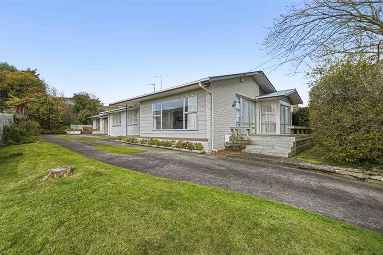 Photo of property in 12 Thomson Avenue, Dinsdale, Hamilton, 3204