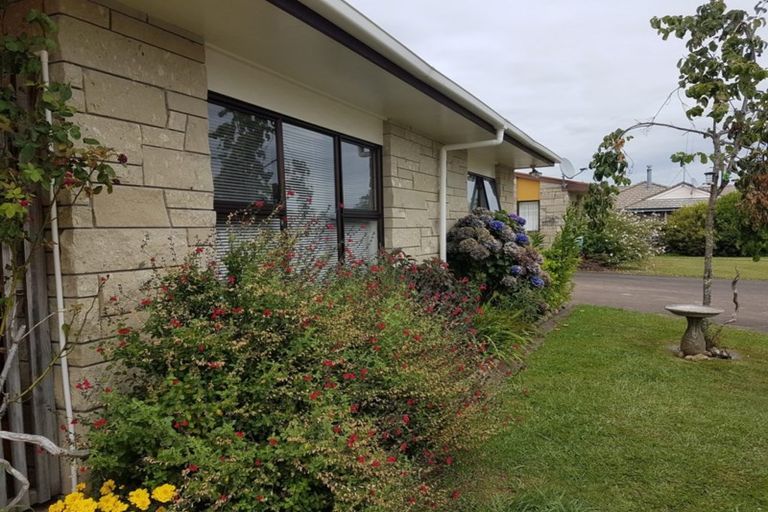 Photo of property in 3/12 Buchanan Street, Matamata, 3400
