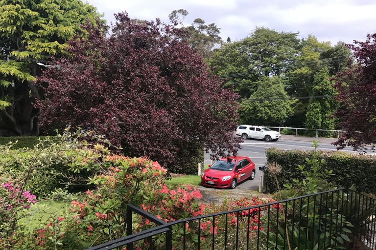 Photo of property in 230 Taieri Road, Wakari, Dunedin, 9010