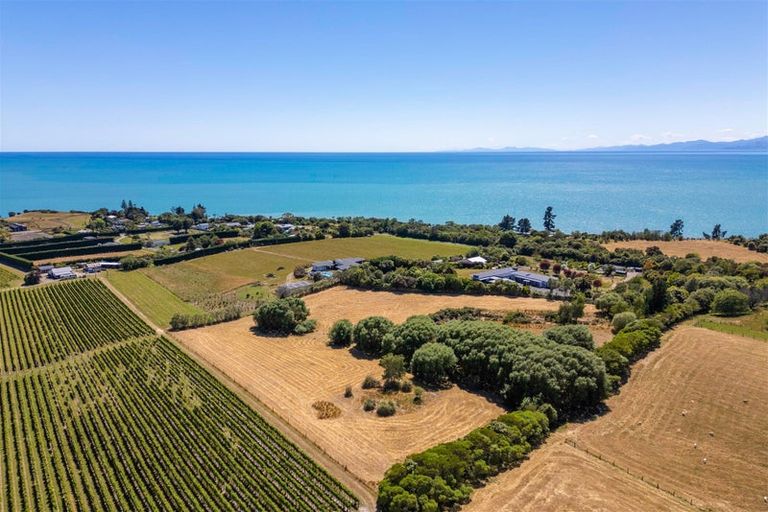 Photo of property in 50 Cliff Road, Tasman, Upper Moutere, 7173