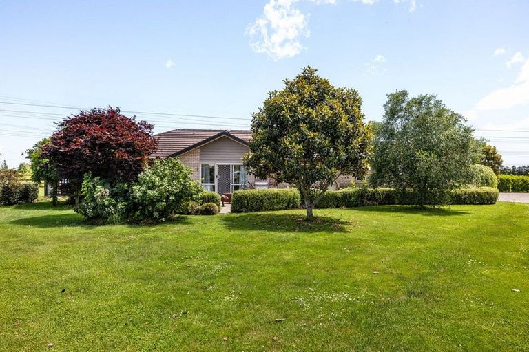 Photo of property in 11 Shadbolt Drive, Leamington, Cambridge, 3432