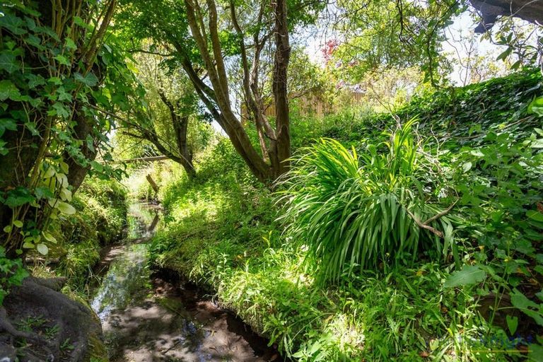 Photo of property in 19 Styxspring Lane, Harewood, Christchurch, 8051