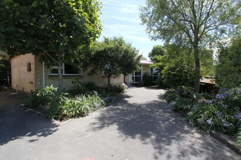 Photo of property in 20 Wolsey Place, Hillmorton, Christchurch, 8025