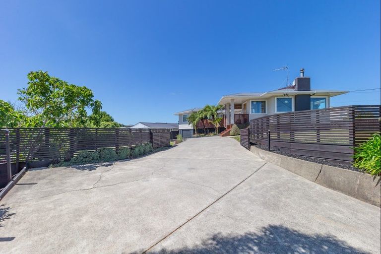 Photo of property in 28 Chester Street, Levin, 5510