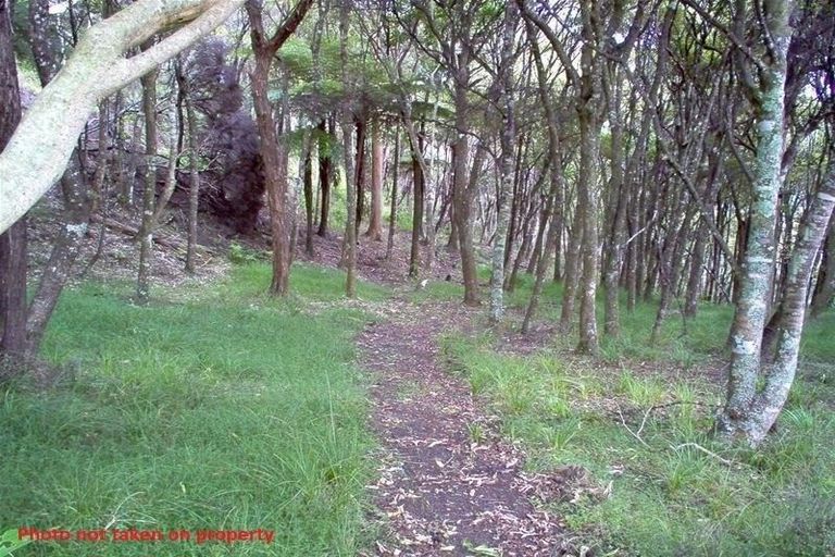 Photo of property in 86 Summer Road, Tinopai, Matakohe, 0593