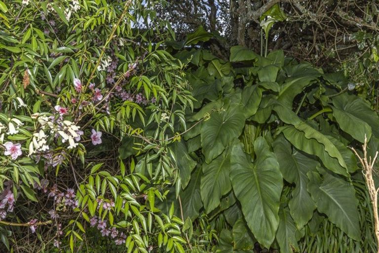 Photo of property in 19 Russell Road, Huntly, 3700