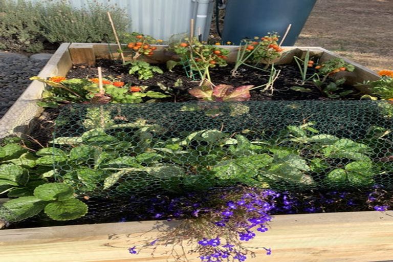 Photo of property in 185 West Street, Greytown, 5712