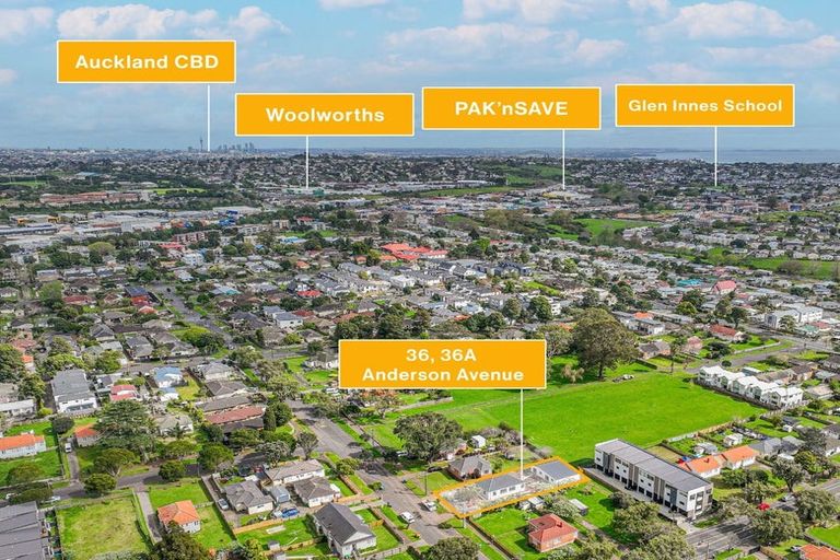 Photo of property in 36 Anderson Avenue, Point England, Auckland, 1072