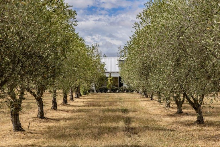 Photo of property in 179 Racecourse Road, Amberley, 7482