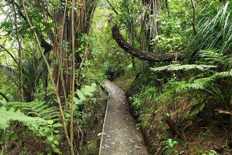 Photo of property in 12 Poaka Place, Beach Haven, Auckland, 0626