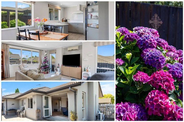 Photo of property in 2 Glencoe Court, Pyes Pa, Tauranga, 3112