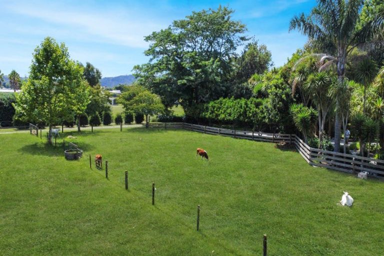 Photo of property in 262 Te Rahu Road, Poroporo, Whakatane, 3193