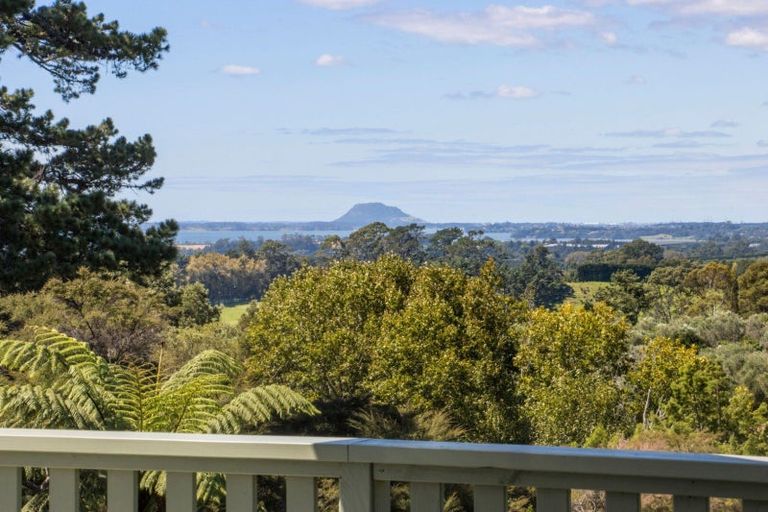 Photo of property in 189 Thompsons Track, Aongatete, Katikati, 3178