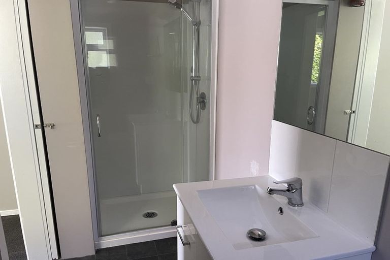 Photo of property in 43 Millar Street, Terrace End, Palmerston North, 4410