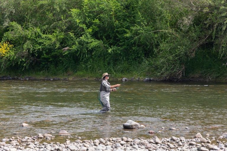 Photo of property in 136 Pohangina Valley Road East, Ashhurst, 4884