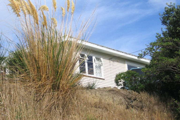 Photo of property in 56 Tannadyce Street, Strathmore Park, Wellington, 6022