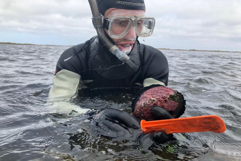 Photo of property in 1 Nunu Drive, Flat Point, Masterton, 5883