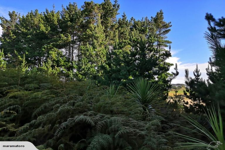 Photo of property in 4 Mowhia Grove, Waitarere, Levin, 5510