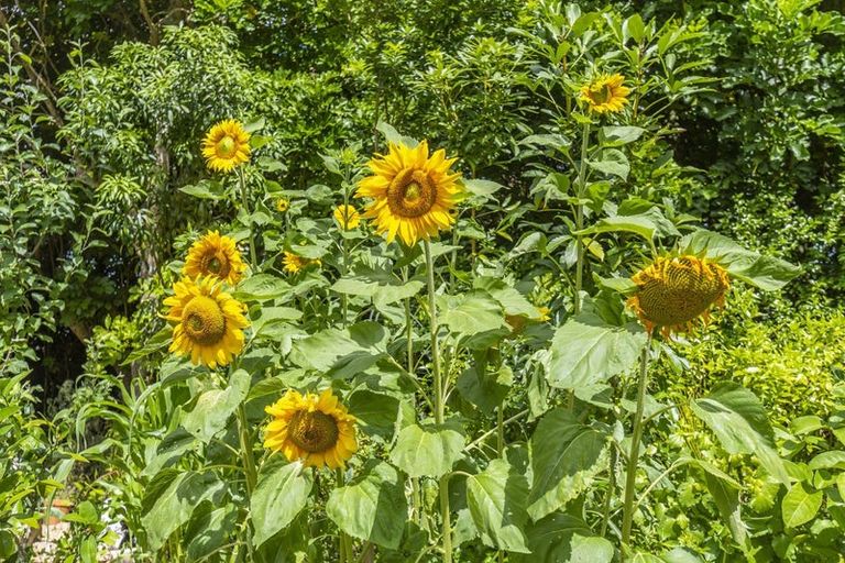 Photo of property in 103 Huia Street, Waikanae, 5391