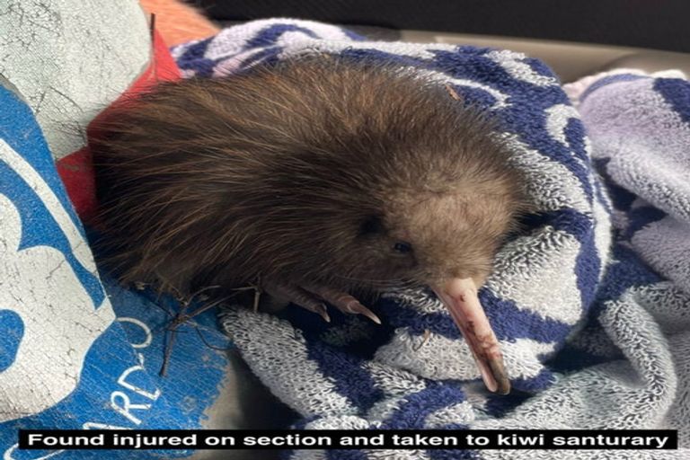 Photo of property in 125c Sailors Grave Road, Pumpkin Hill, Whitianga, 3591